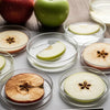 Apple Oxidation STEM Project: The Secret to Fresh Slices