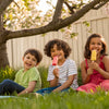 Chill Out with Fun: Your Easy Kids Popsicle Recipe Adventure Awaits