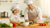 Culinary Adventures: Unlocking Learning with Every Kid Friendly Recipe