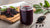 Delicious Elderberry Syrup Recipe for Kids: A Sweet Path to Wellness