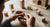 Delightful Wood Craft for Kids: Building Skills & Creativity
