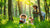 Dive into Nature: Engaging Ecosystem STEM Activities