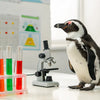 Engaging Penguin STEM Adventures for Kids