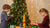 Festive STEM: Engaging Christmas Tree Activities for Curious Kids