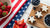Fun 4th of July Recipes for Kids