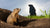 Groundhog Day STEM: Shadow Science & Burrow Builders