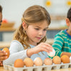 Hands-On Egg STEM Activity for Curious Kids