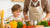 Kid Dinner Recipes: Cooking Adventures for Little Chefs