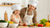 Kid-Friendly Dinner Recipes They'll Love to Make