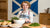 Kid-Friendly Scottish Recipes: A Culinary Adventure