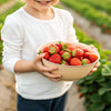 Kid-Friendly Strawberry Treats: Easy Recipes for Little Chefs