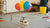 Lift Off! Your DIY Balloon Helicopter STEM Activity Guide