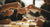 Marshmallow Tower STEM Challenge: Build, Learn, and Sweeten Up Science!
