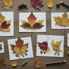 Nature's Art: Kids Crafts with Fall Leaves