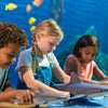 Ocean Adventures: Exciting Shark STEM Activities for Curious Kids