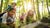 Outdoor STEM Adventures: Sparking Curiosity in Nature