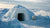 Polar Bear Den STEM Activity: Build & Learn!