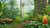 Rainforest STEM for Kindergarten: Jungle Learning Adventures