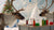 Reindeer STEM Activities: Soaring into Science & Holiday Fun