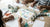 Spark Creativity: Fun Washi Tape Crafts for Kids
