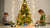 Spark Joy: STEM Christmas Tree Activities