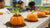 Sprouting STEM Curiosity: The Pumpkin Life Cycle Activity