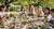 Summer Arts & Crafts: Inspiring Kids' Creative Fun