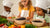 Tiny Chefs, Big Flavors: 25+ Kid Friendly Black Bean Recipes