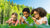 Unveiling Nature's Secrets: Engaging STEM Activities with Leaves