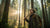 Wilderness Wisdom: Hatchet STEM Adventures