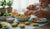 15 Nutritious and Tasty Broccoli Recipes for Your Toddler