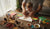 25 Creative Toddler Thanksgiving Craft Ideas for Families