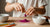 35+ Fun Space Activities for Kids: STEM, Crafts, and More