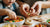 35 Toddler Recipes Dinner Ideas for Happy Eaters