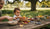 50 Best Fun Toddler Outdoor Activities for Every Season