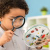Amazing Insect STEM Activities for Young Explorers