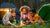 Amazing STEM Camping Adventures for Curious Kids