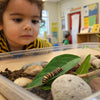 Animal Habitat STEM Activities for Curious Young Explorers