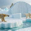 Arctic Adventures: Engaging Polar Bear STEM Activities