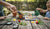 Best Educational Outdoor Activities with Toddlers