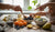 Best Foods for Toddler Constipation: A Healthy Guide