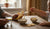 Best Foods to Help Toddler With Diarrhea