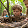 Build a Bird Nest STEM Activity: Nurturing Young Engineers