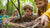 Build a Bird Nest STEM Activity: Nurturing Young Engineers