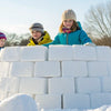 Build an Igloo: A Cool Igloo STEM Activity for Creative Minds