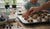 Can Kids Eat Protein Cookies? A Healthy Snacking Guide