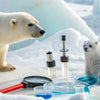 Chill Adventures: Engaging Arctic Animals STEM Activities