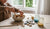 Choosing the Best Toddler Activity Kit for Your Child