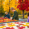 Colorful Fall Leaf STEM Activities for Kids