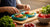Creative and Nutritious: Best Kids Lunches for School